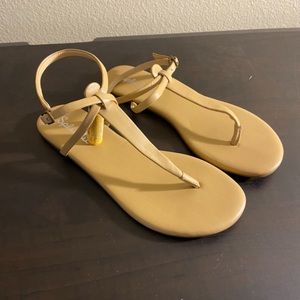 Splendid Flipflops - lightly worn!